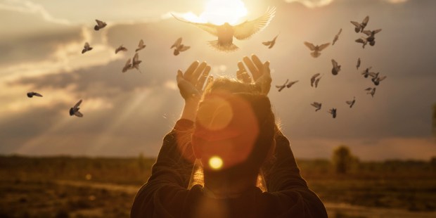 Aleteia: vida plena com valor