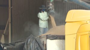 Brasil cria mais empregos formais em abril, números acima da expectativa