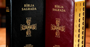 A melhor edição da Bíblia Sagrada já publicada em idioma português
O Fiel Católico
