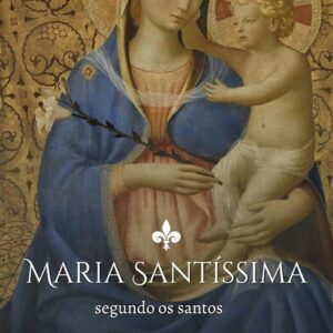 Maria Santíssima segundo os santos (Virgem Maria)