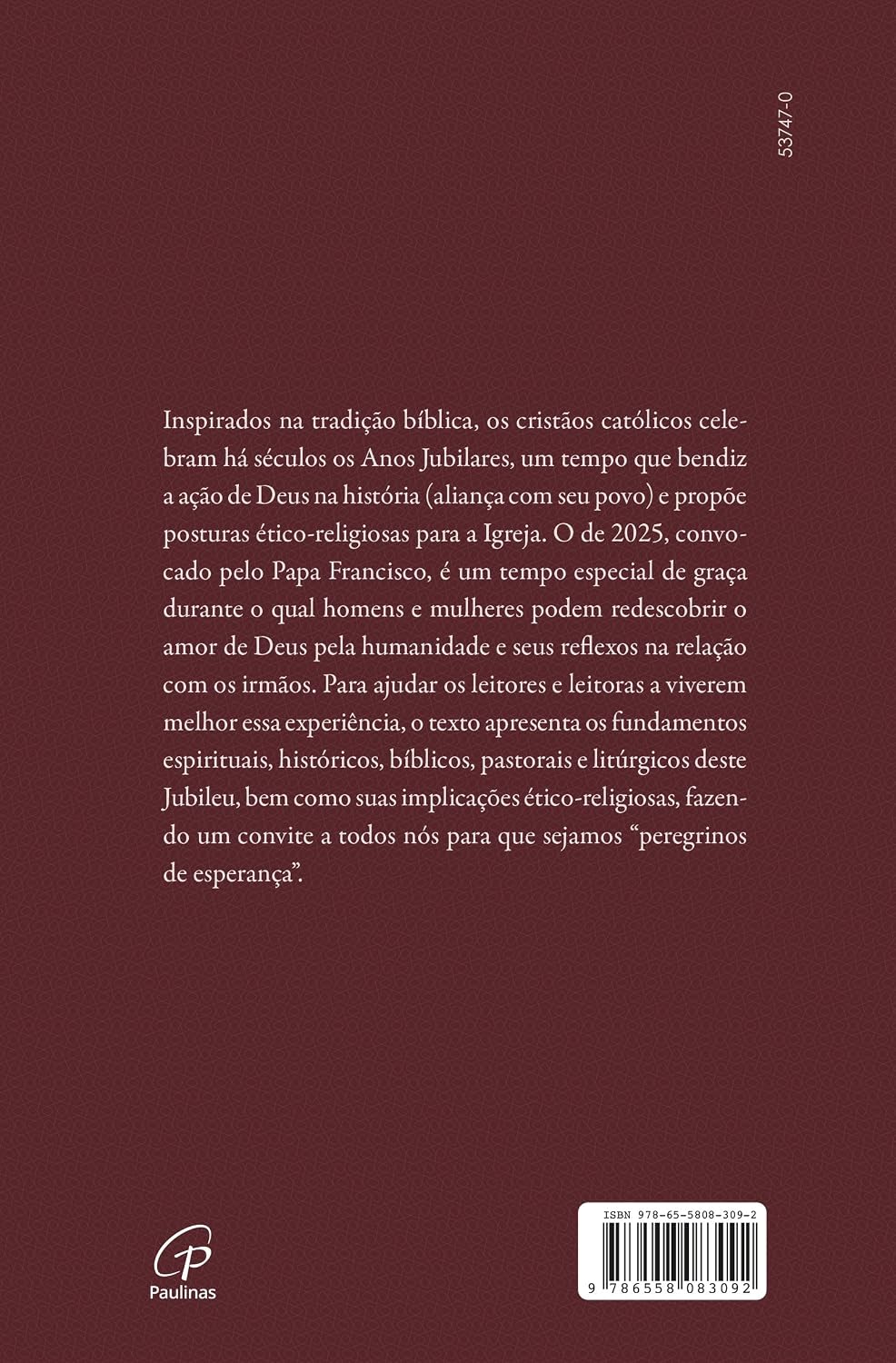Ano jubilar, peregrinos de esperança: uma visão espiritual, histórica, bíblica, pastoral e litúrgica - Imagem 2
